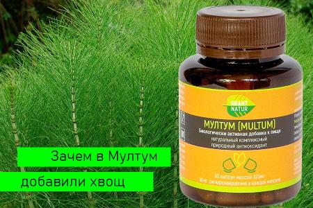 ЗАЧЕМ В МУЛТУМ ДОБАВИЛИ ХВОЩ?