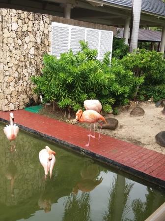 НЕИЗГЛАДИМЫЕ ВПЕЧАТЛЕНИЯ!