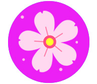 График работы магазина