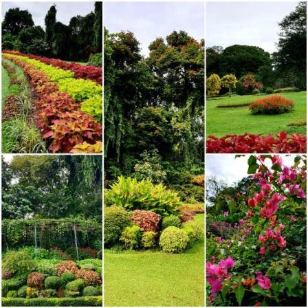 ЭКЗОТИКА НА КАЖДОМ ШАГУ